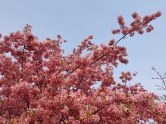 -白沙门生态公园