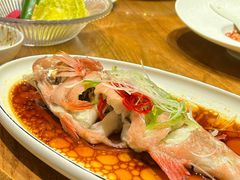 -尚海豆捞(乐虹坊店)