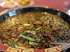 -烧哥美蛙肥肠鱼火锅·十五年社区店