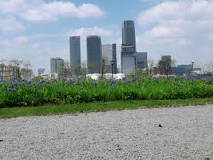 -上海山野camping·户外天幕烧烤·团建拓展营地