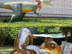 -中国西峡恐龙遗迹园