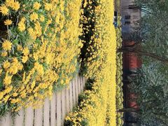 -成都市活水公园