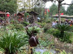 -青城甲(青城山店)