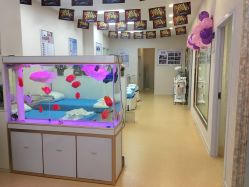 -痘庄科学祛痘国际连锁机构