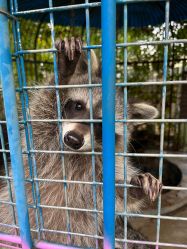 -萌宠亲子动物乐园(槐房万达店)