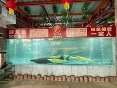 -年辉渔村·非遗传承餐厅(新丰江店)