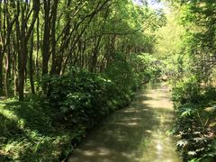 -同里国家湿地公园