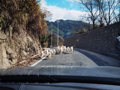 -四明山国家森林公园