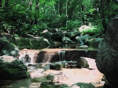 -白草畔自然风景区