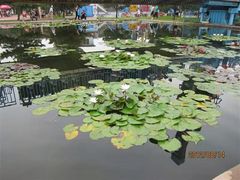 -南戴河国际娱乐中心