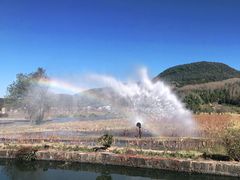 -比顿咖啡(和顺古镇店)
