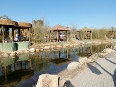 android_upload_pic-灵山莲花公园-温泉度假区