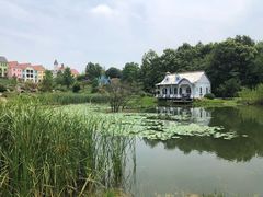 -大塘金香草谷