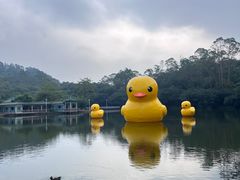 -大雁山风景区