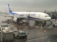-全日本空输株式会社(上海办事处)