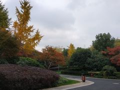 -杭州城北体育公园