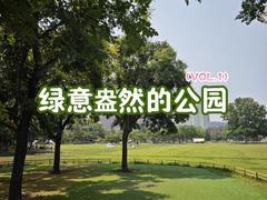 -泰丰公园