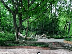 -成都市活水公园