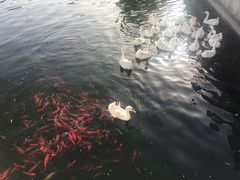 -西安汉城湖景区