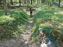 -上海海湾国家森林公园