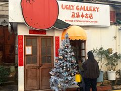 -溪岸路花鸟市场