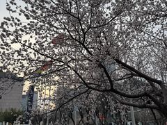 -YUAN·䬧
