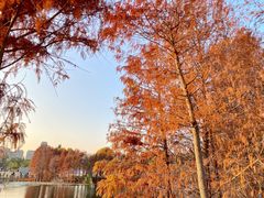-厦门园林博览苑