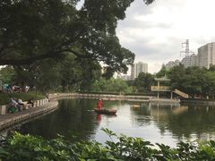 -晓港公园
