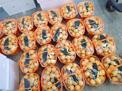 -西郊国际农产品交易中心