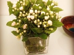 双季花艺园艺市场-双季花艺园艺市场(浦东店)