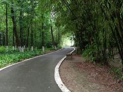 -桤木河湿地公园