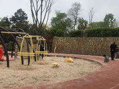 -铁山坪森林公园