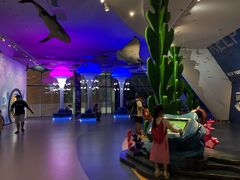 -贝林大翅鲸简餐厅(国家海洋博物馆店)