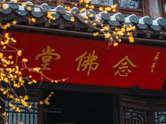 -灵谷景区