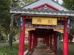 -顺峰山公园
