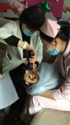 -巍阁高端月子会所