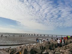 -南汇新城海滩