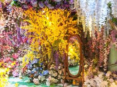 -正佳雨林生态植物园