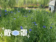 -自然谷恐龙园