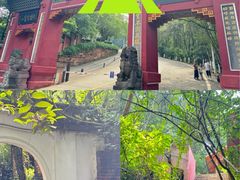 -老君山