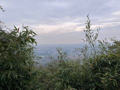 -杭州半山国家森林公园