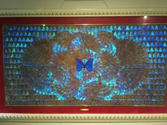 -上海昆虫博物馆