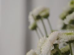 -三圣花乡旅游区