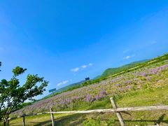 -大连铭湖国际观光牧场