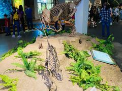 -自贡恐龙博物馆