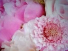 -美国谷斯妈妈早教中心 (陆家嘴店)