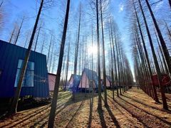 -黄海国家森林公园