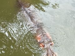 -泉州海丝野生动物世界