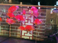 -小城外婆肴私房菜.家宴聚集点(圆明园颐和园·清河上地店)