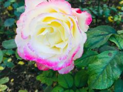 -长辛店二七公园